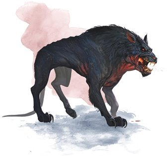 image of a borlagg Rhino Dog